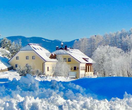 Apartmán Ferienwelt Bogensperger Mariapfarr Exteriér fotografie